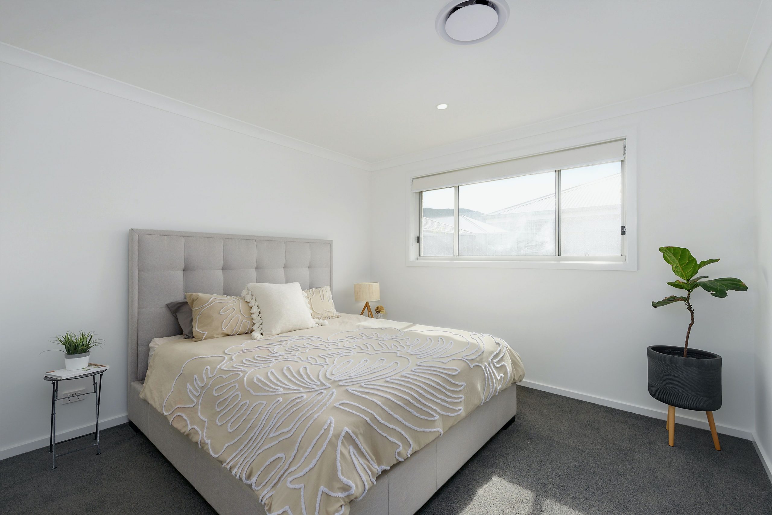 15 Silvereye Street, Wongawilli - Thumbnail 5