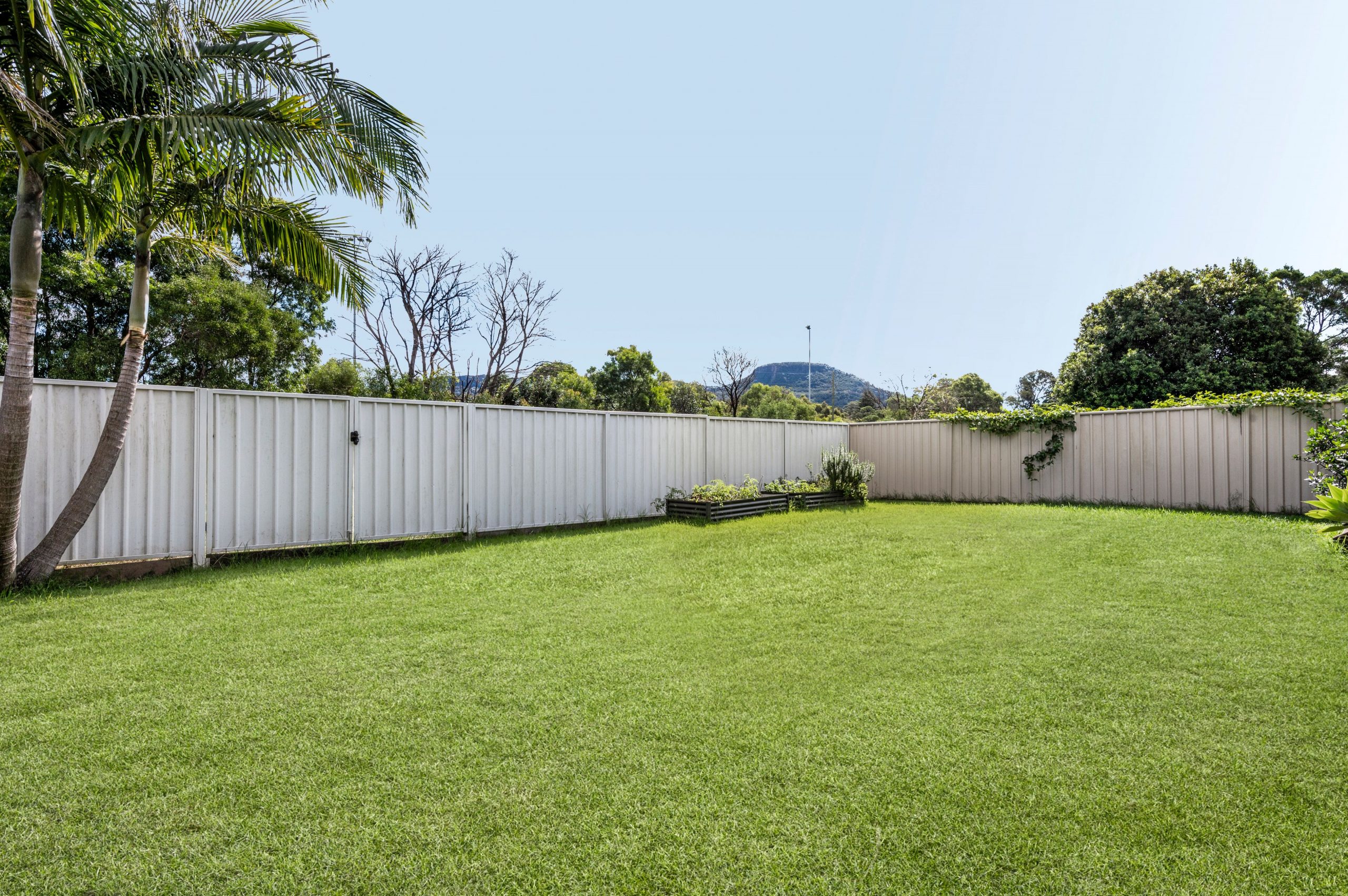 24 Preston Street, Figtree - Thumbnail 2