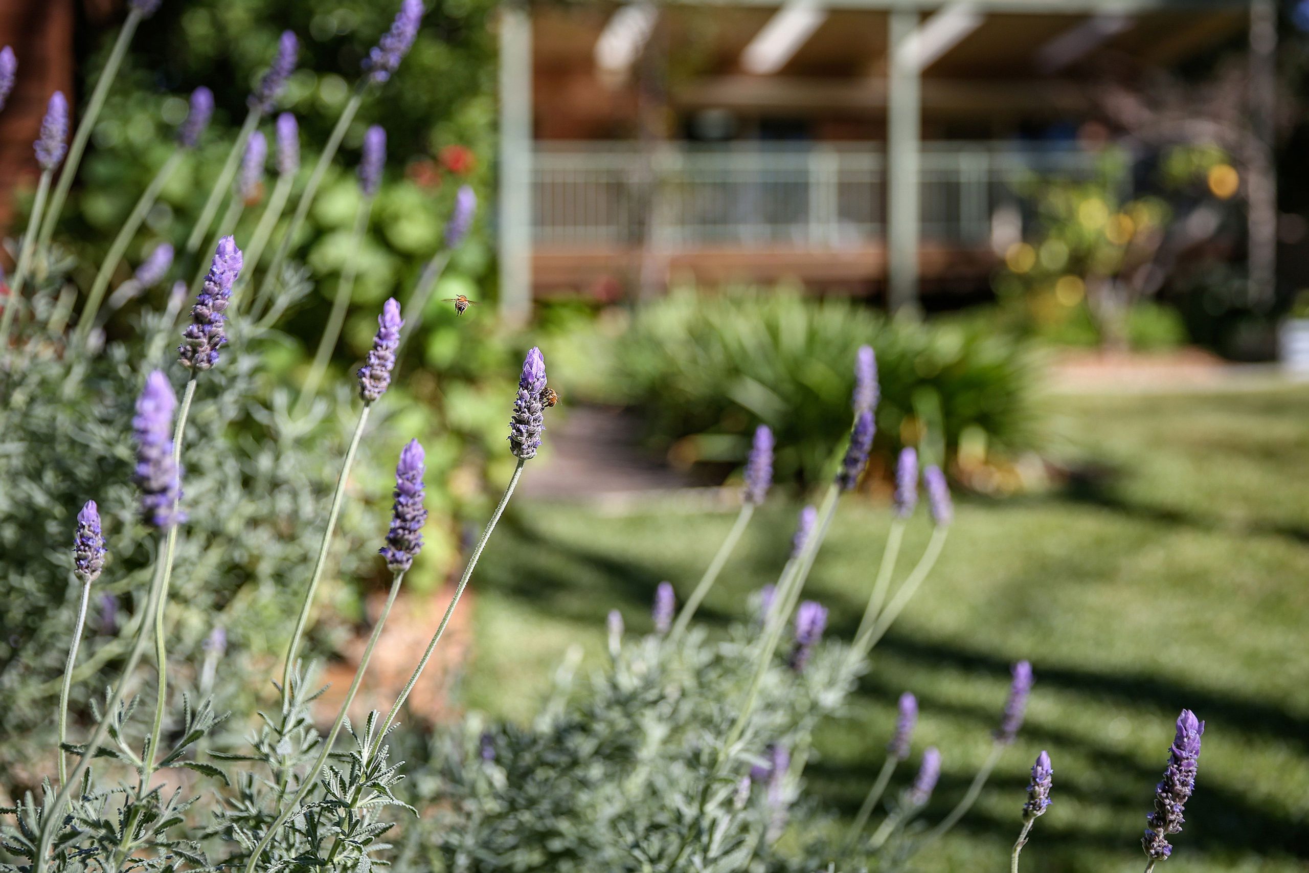 18 O'Briens Lane, Figtree - Thumbnail 2