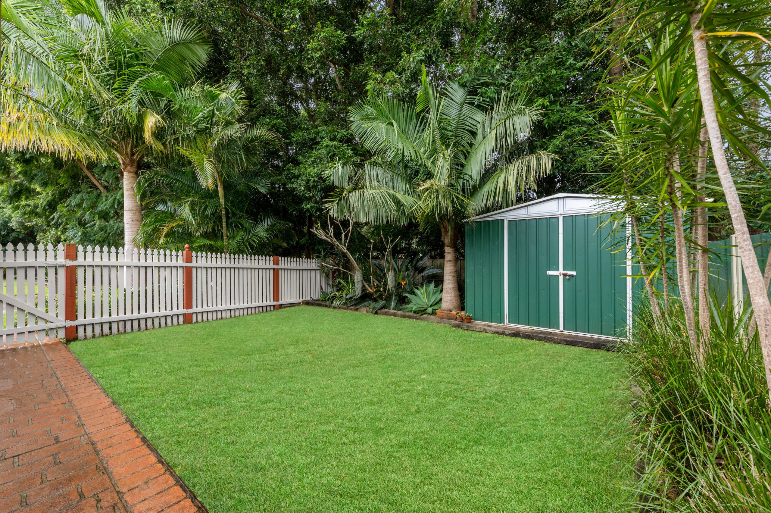 3 Maculata Place, Figtree - Thumbnail 4