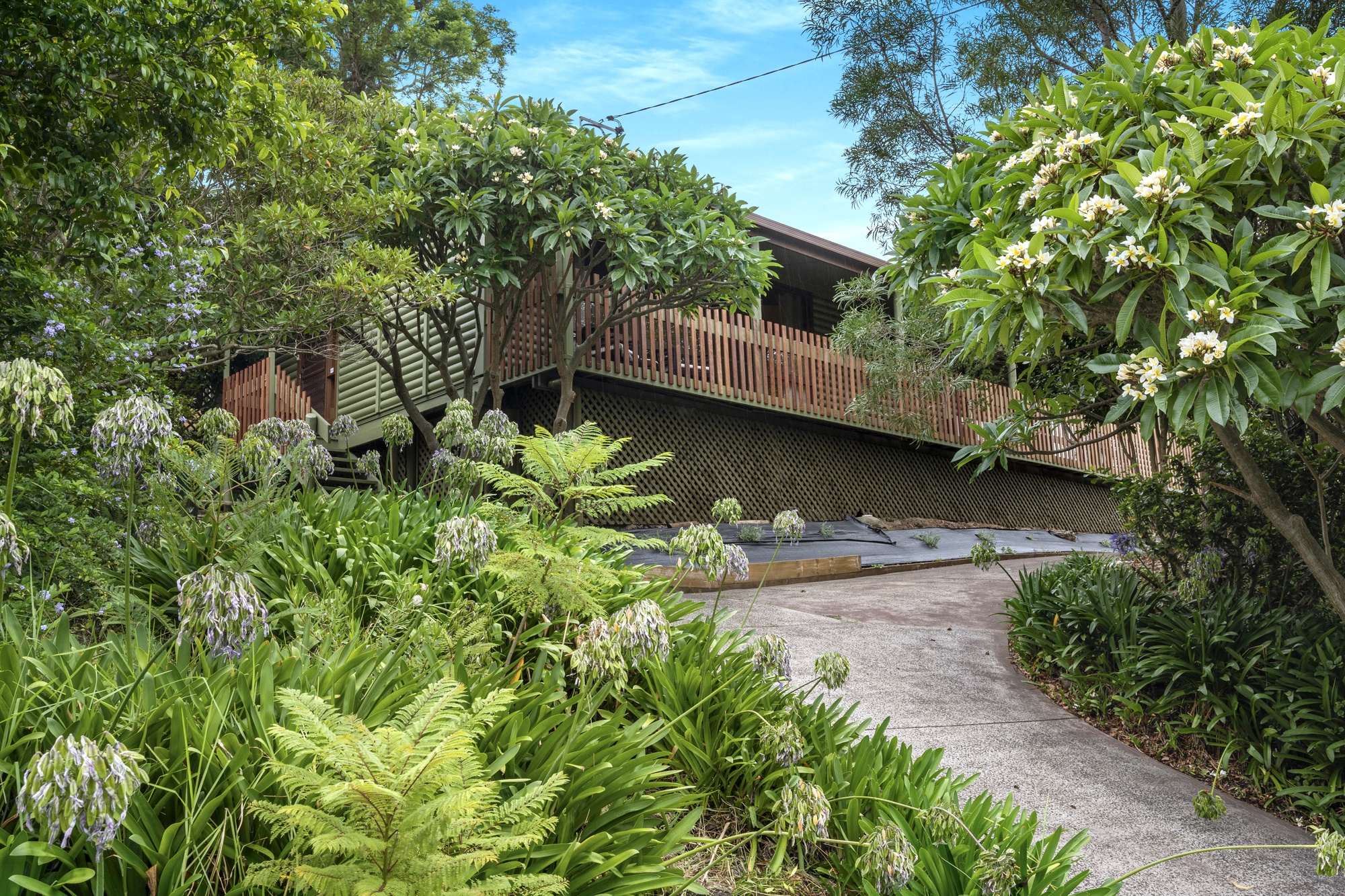 257 Cordeaux Road, Mount Kembla - Thumbnail 3