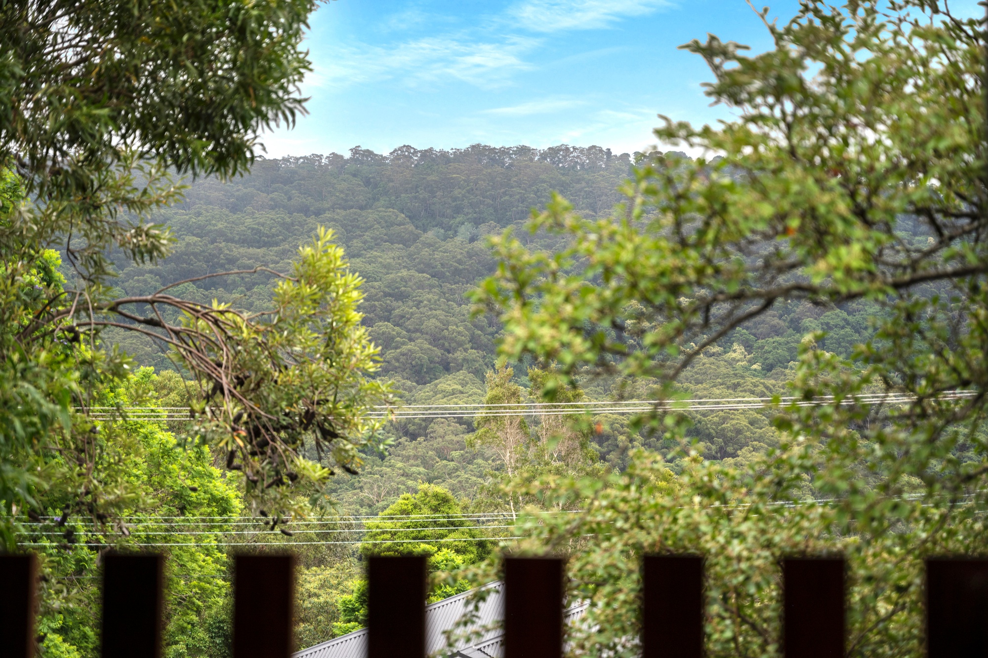 257 Cordeaux Road, Mount Kembla - Thumbnail 8