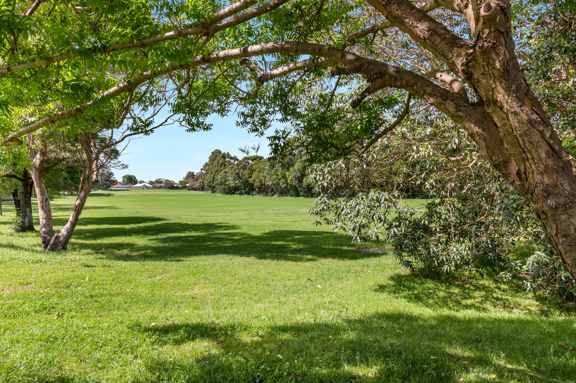 55 Euroka Street, West Wollongong - Thumbnail 2