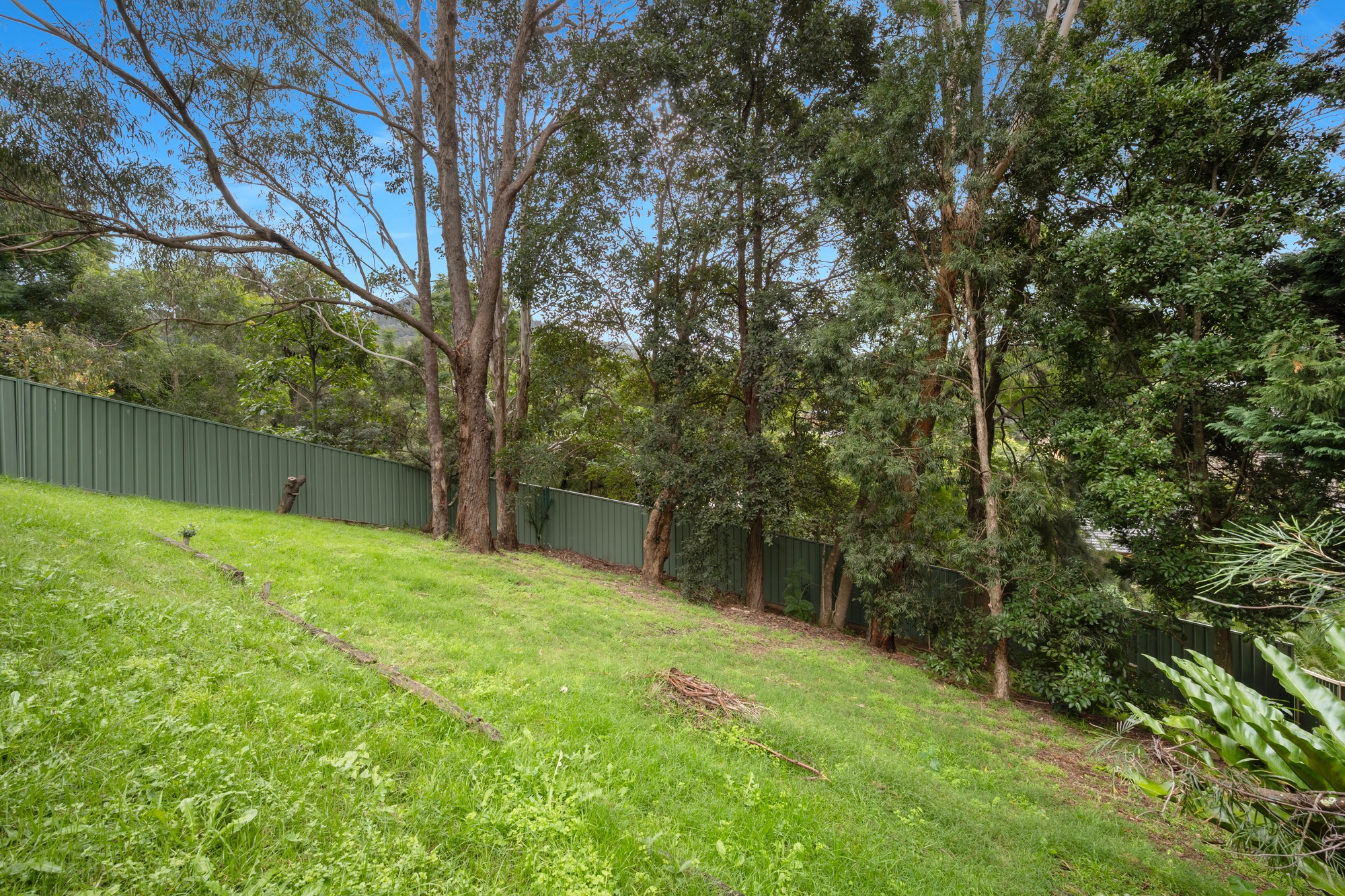 154 Waples Road, Farmborough Heights - Thumbnail 3