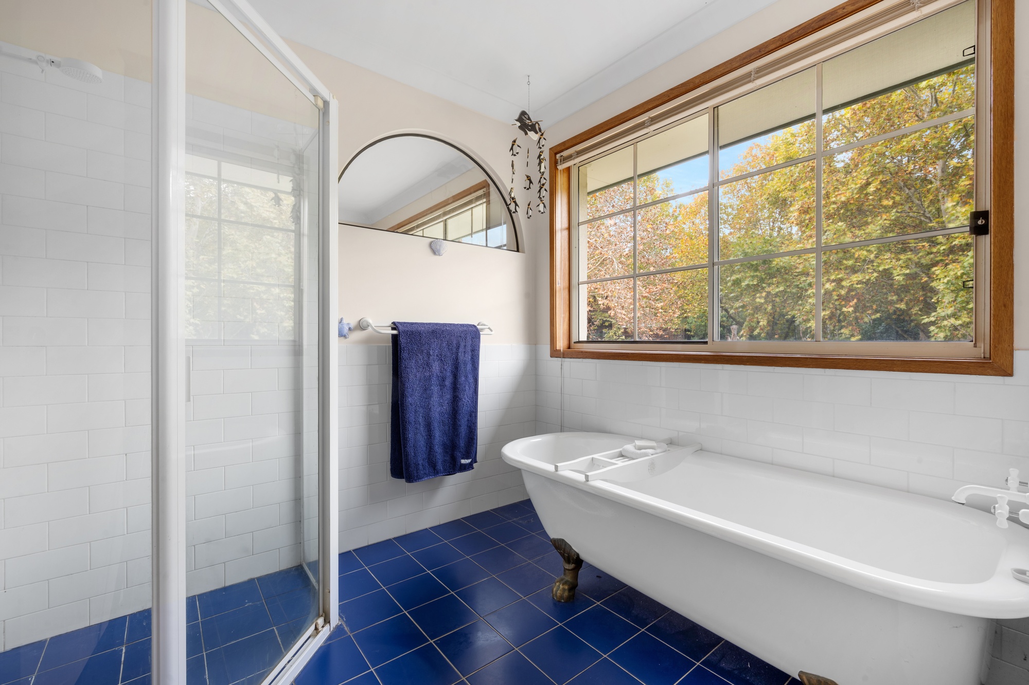 86 Valley Drive, Figtree - Thumbnail 4