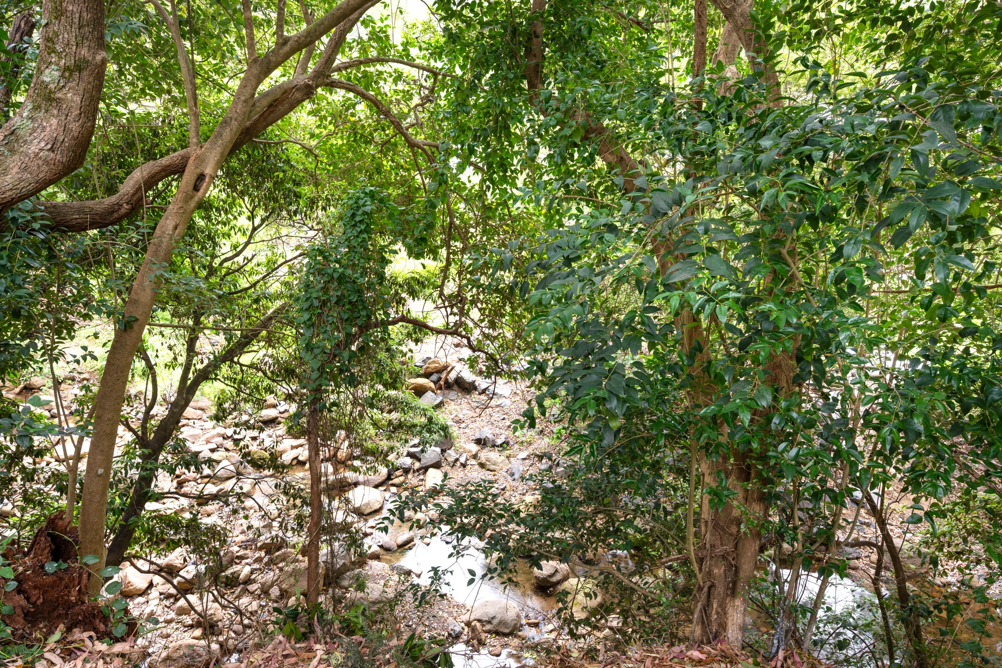 14 Avon Parade, Mount Kembla - Thumbnail 2