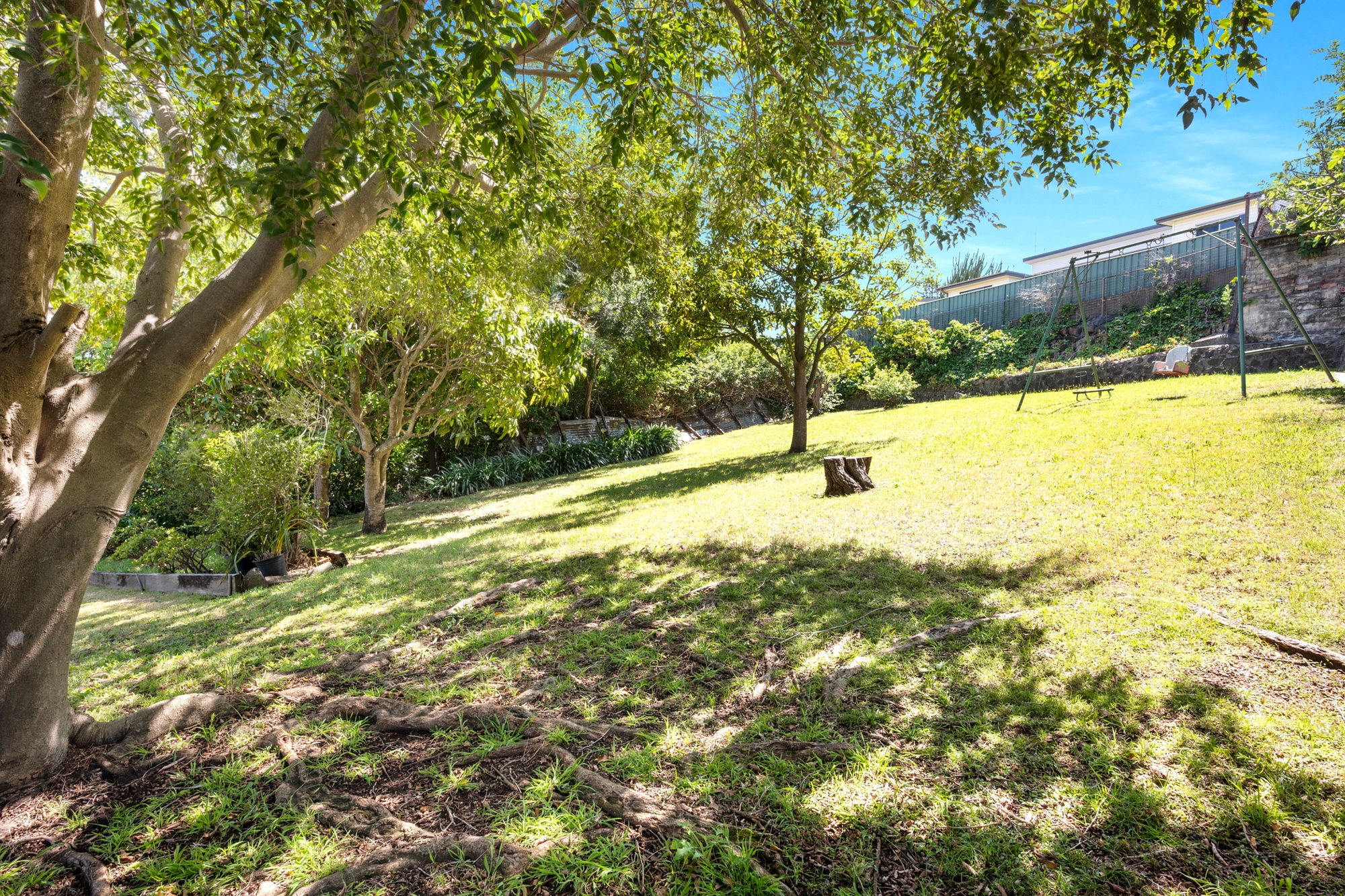 56 Hassan Street, Lake Heights - Thumbnail 2