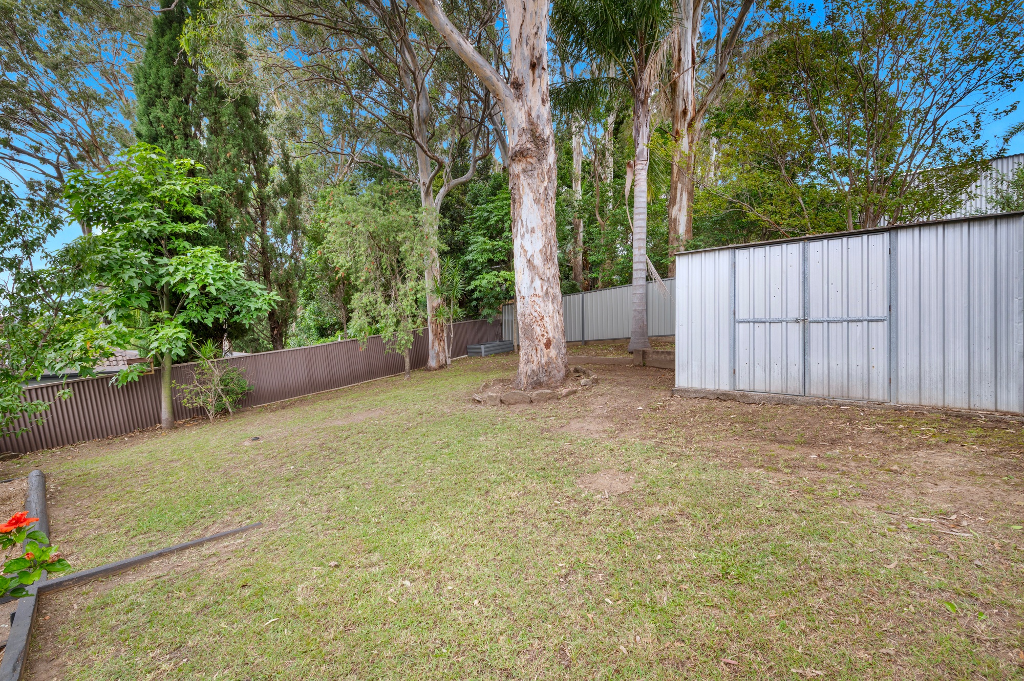 129 Iola Avenue, Farmborough Heights - Thumbnail 2